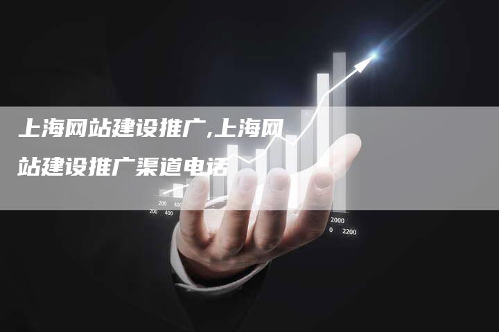 上海网站建设推广,上海网站建设推广渠道电话-加速网站优化网